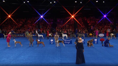 体育商业联盟管理